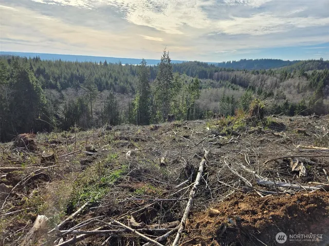a view of a field of mountains and valleys