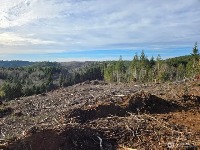 a view of a lake with a mountain in the background