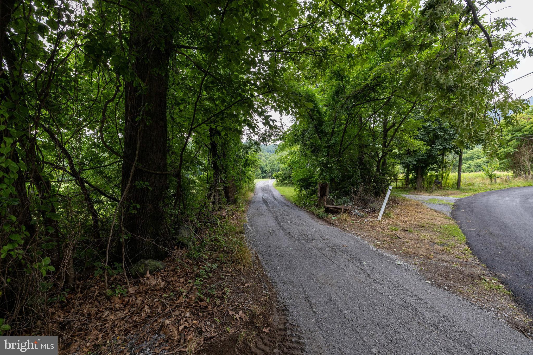 3827 Pine Grove Road Stanley, VA 22851 - Photo 49 of 103 Gallery Image 49