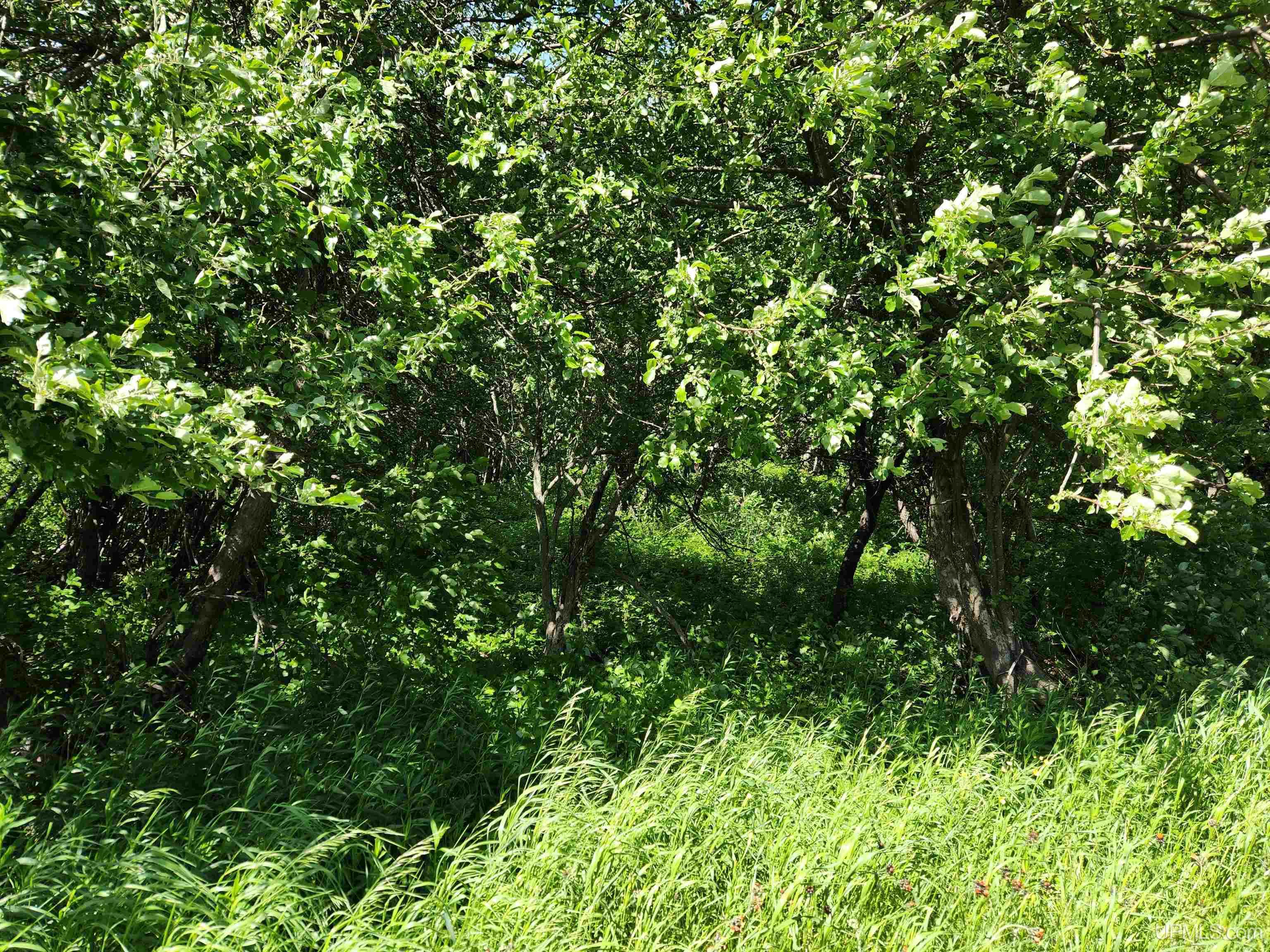 Tbd A Tbd A Road Calumet, MI 49913 - Photo 4 of 12