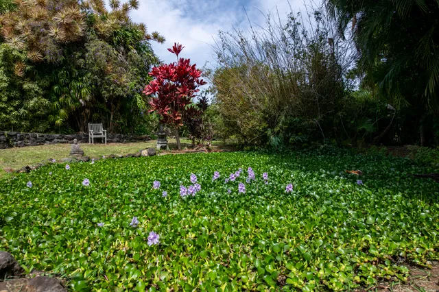 $1,489,000 | 44-2325 Middle Road, Honokaa, HI 96727