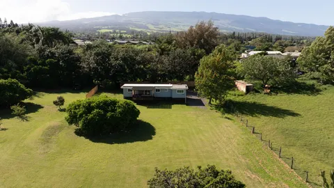 a view of a garden with lawn chairs