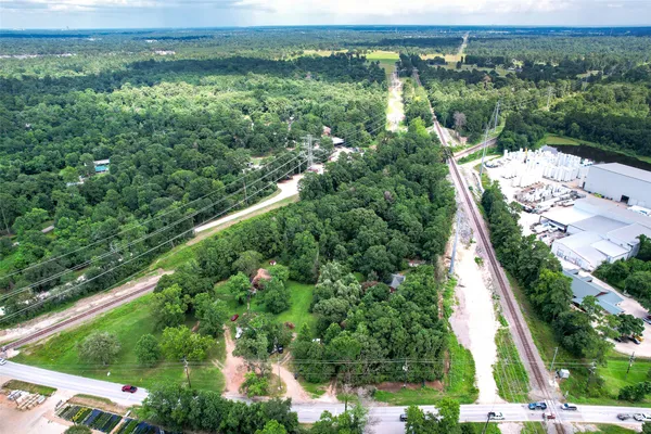 a view of a lush green forest with lawn chairs