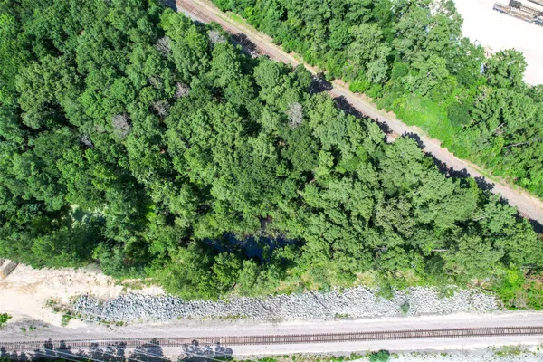 a view of a lush green forest with lots of trees
