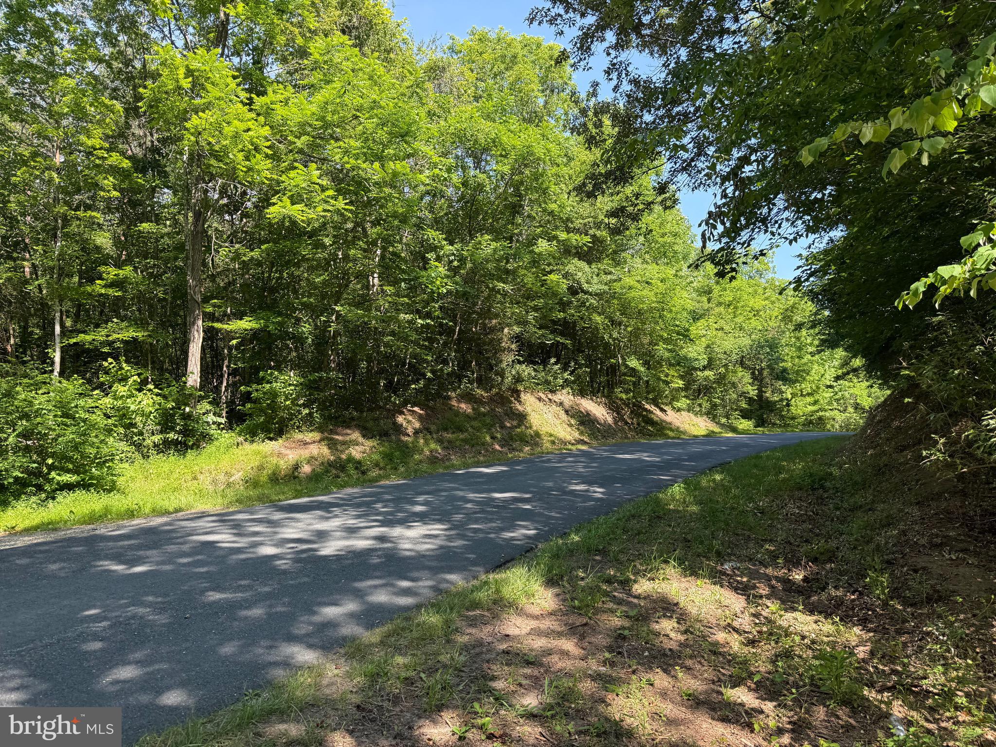 Tbd Hollywood Road Appomattox, VA 24522 - Photo 5 of 32