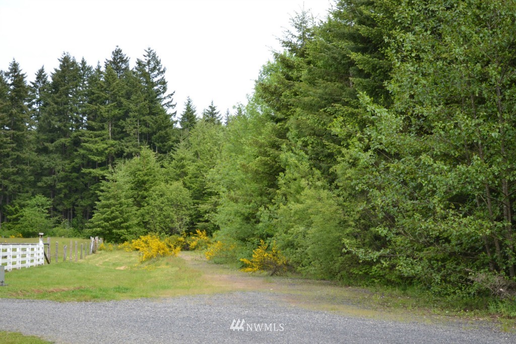 101-22 Hawkins Road, Unit 3 Winlock, WA 98596 - Photo 3 of 6