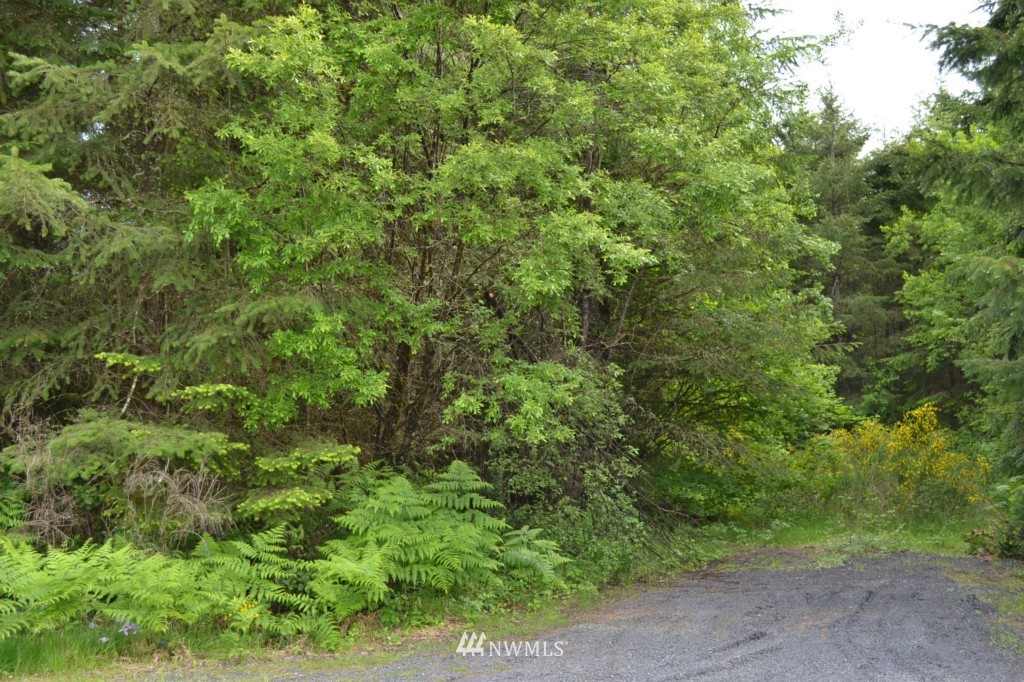 101-22 Hawkins Road, Unit 3 Winlock, WA 98596 - Photo 4 of 6