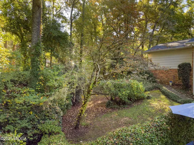 a view of a large yard with lots of green space and plants