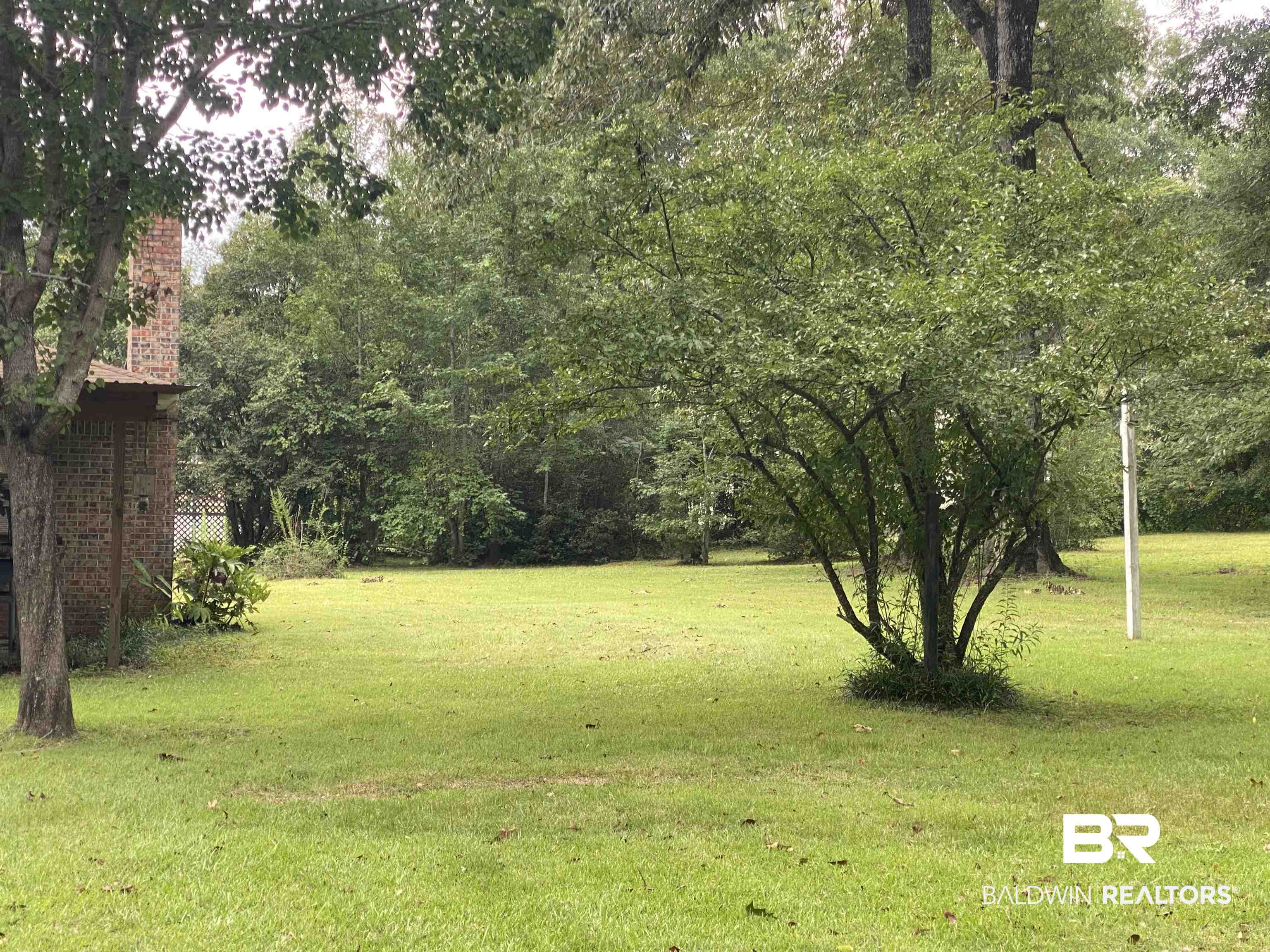 270 Dawkins Road Brewton, AL 36426 - Photo 23 of 25 Yard