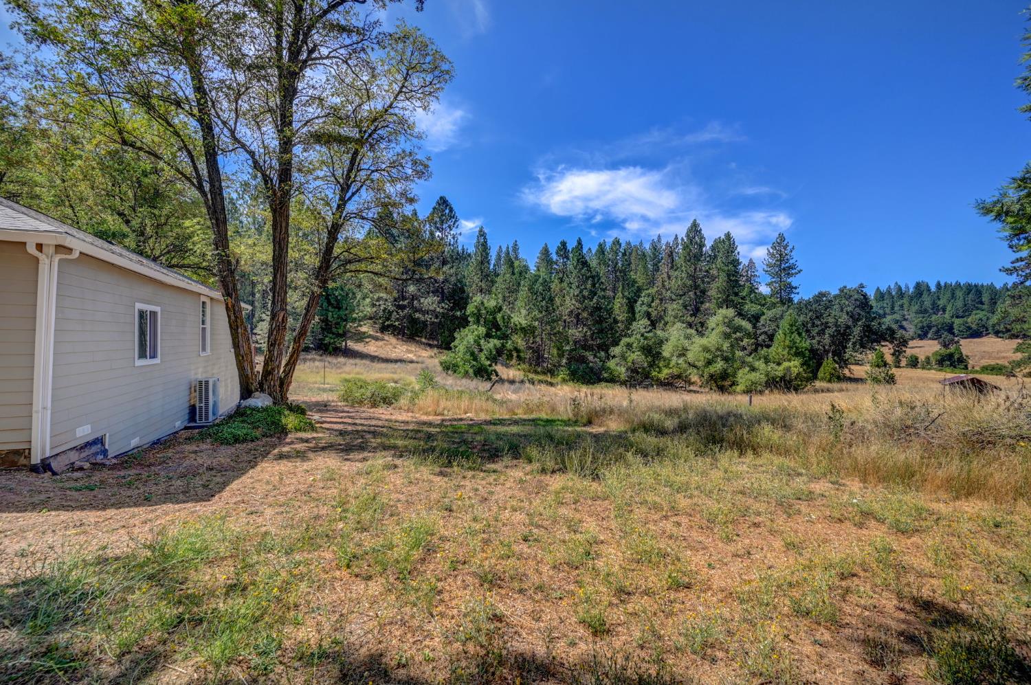 716 Railroad Flat Road Mokelumne Hill, CA 95245 - Photo 39 of 39