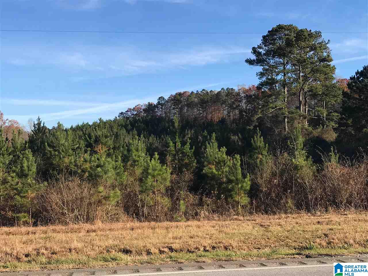 46 Highway 46 Ranburne, AL 36273 - Photo 3 of 5