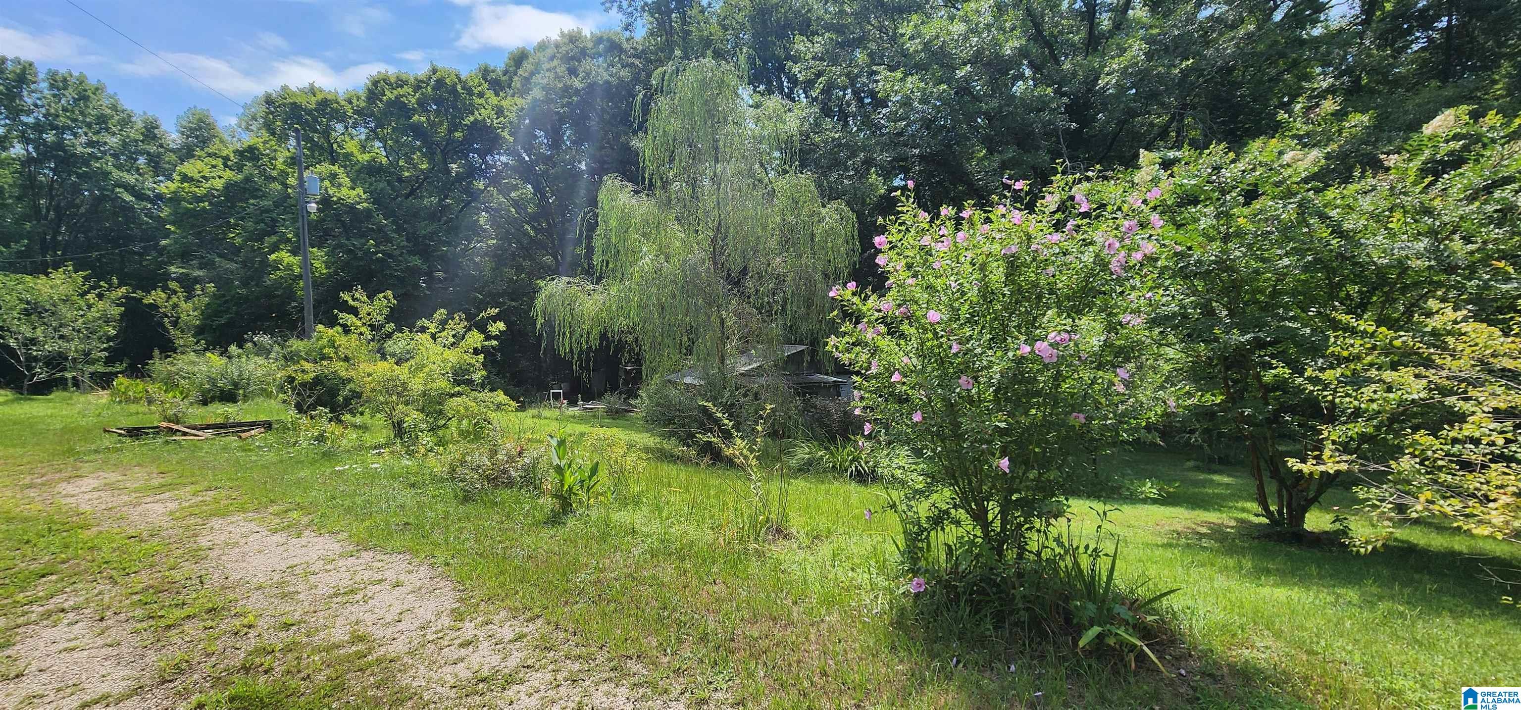 2175 Gaines Road Altoona, AL 35952 - Photo 11 of 14