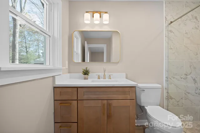 a bathroom with a toilet a sink a vanity and mirror