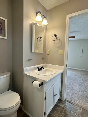 a bathroom with a sink a toilet a mirror a vanity and shower