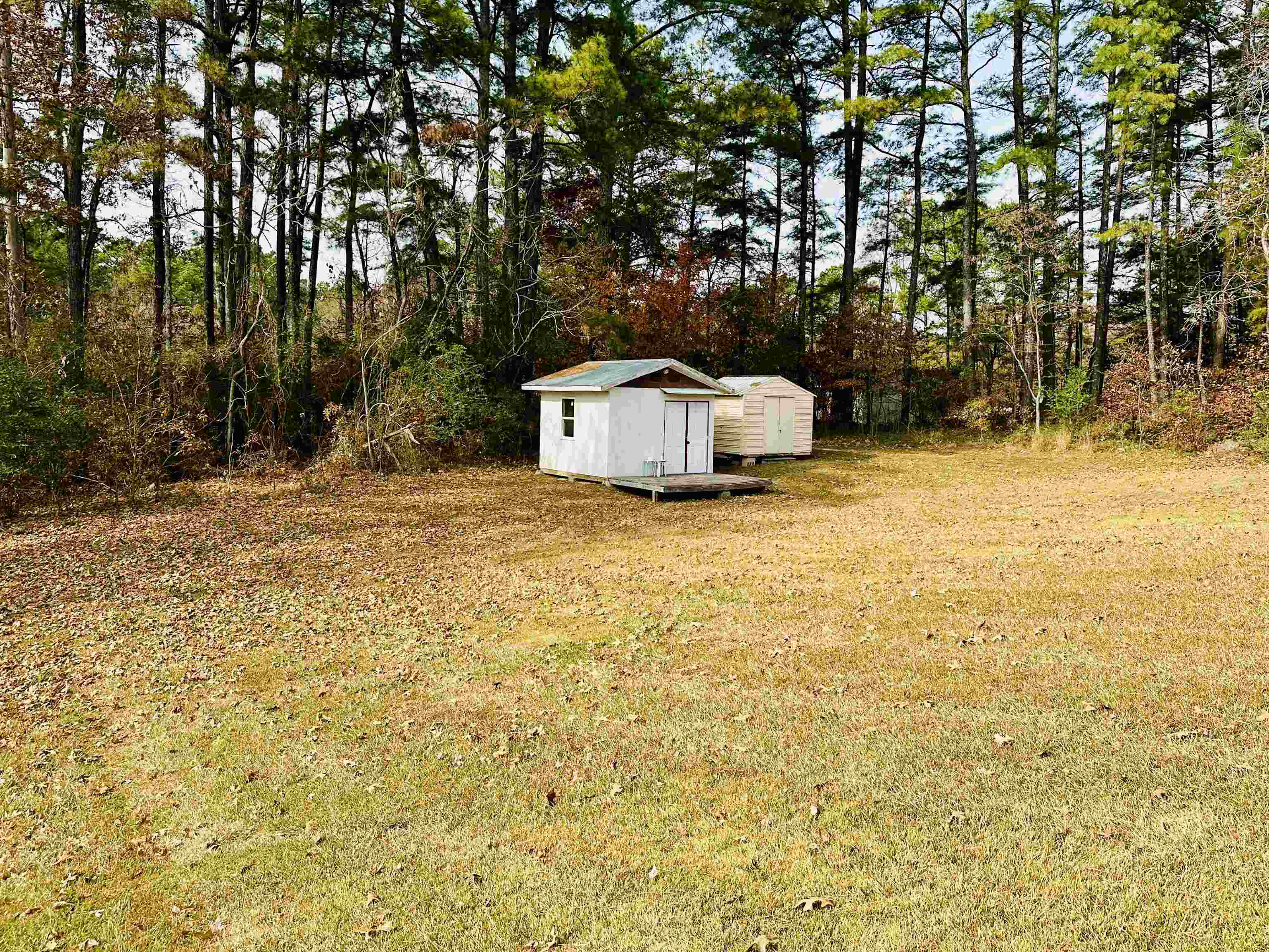 170 Mitchell Street Selmer, TN 38375 - Photo 23 of 26 a white house that has a tree in front of it