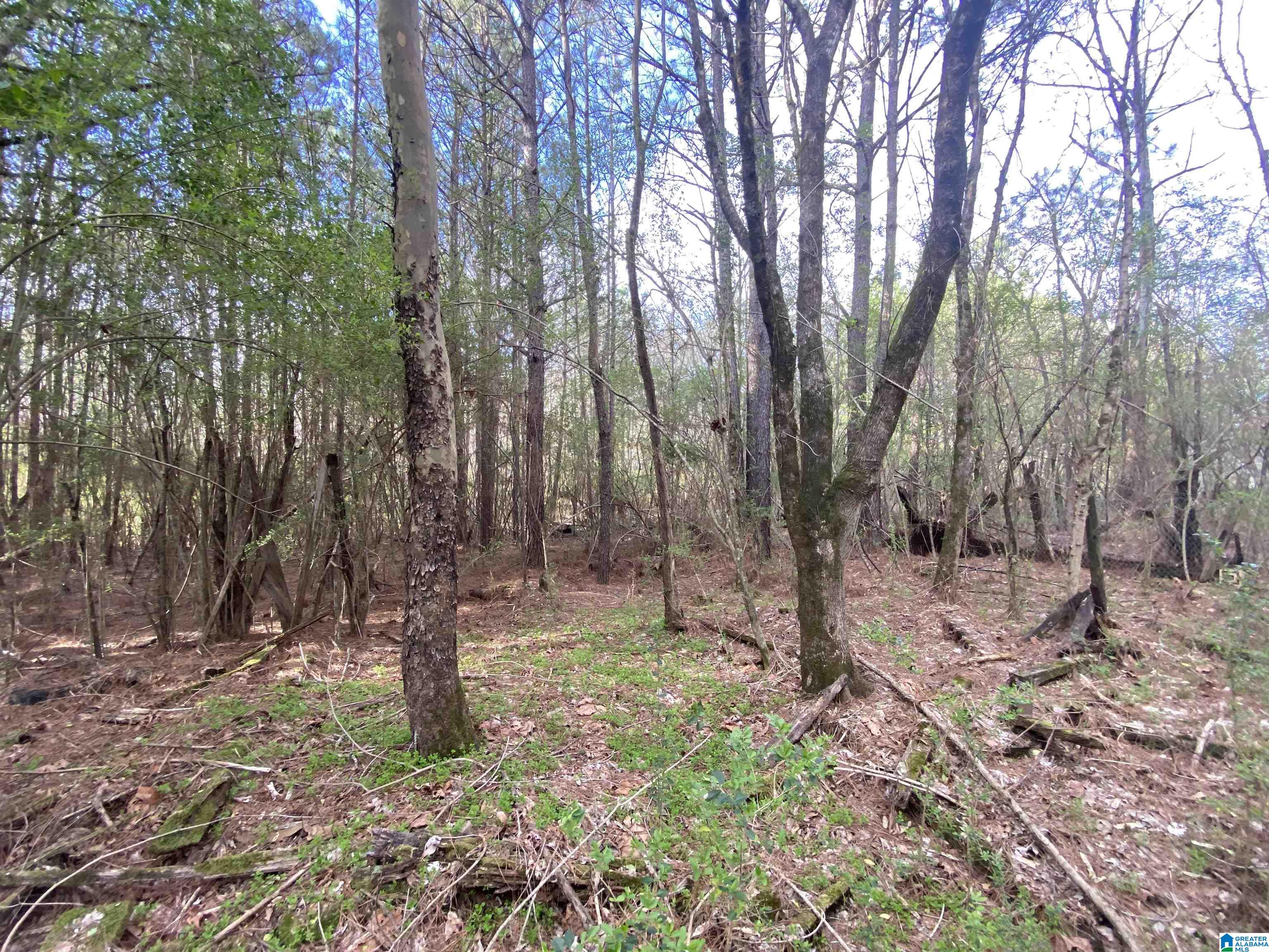 6388 Letson Lake Road, Unit 1 Bessemer, AL 35023 - Photo 8 of 20