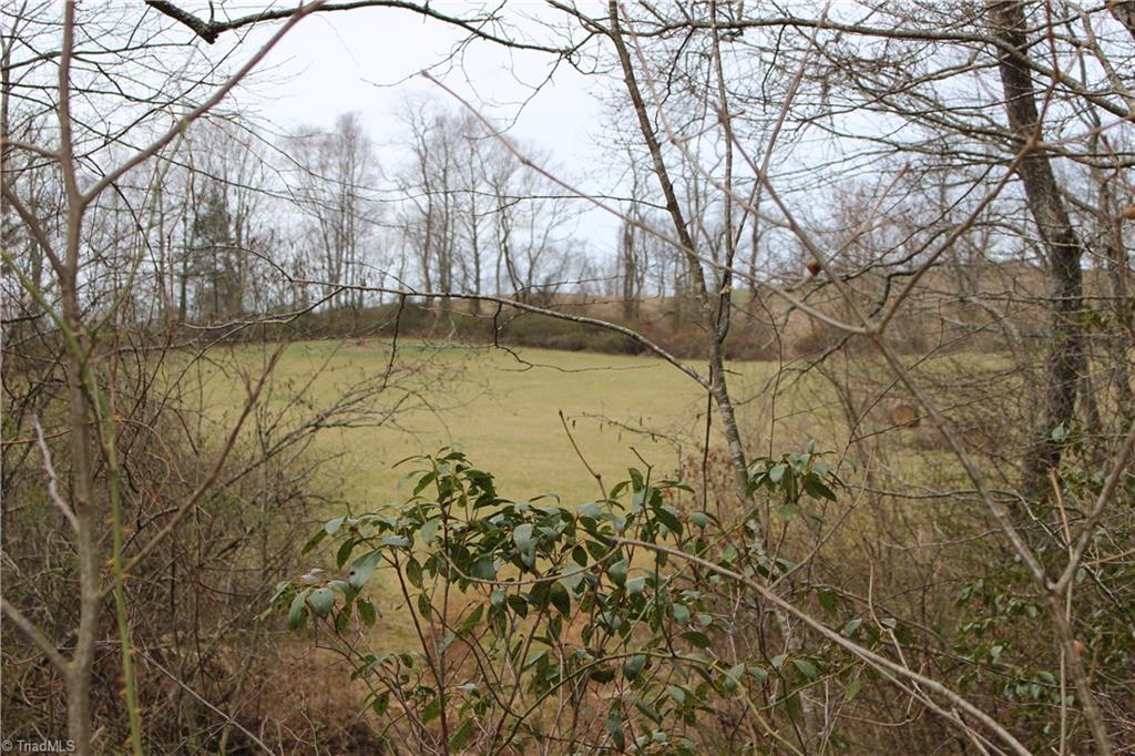 805 Quarry Road Fancy Gap, VA 24328 - Photo 4 of 11 Gallery Image 4