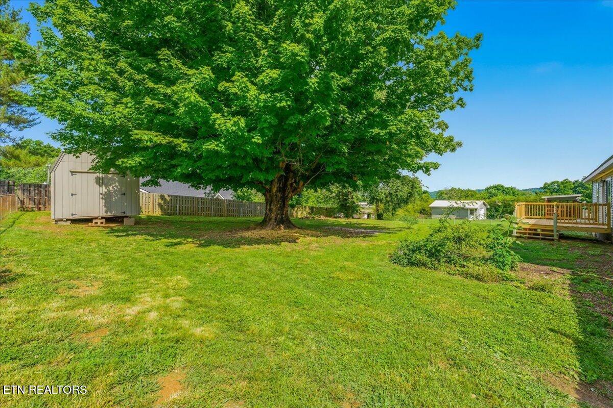 7920 Powell Heights Road Powell, TN 37849 - Photo 13 of 18 storage barn and yard