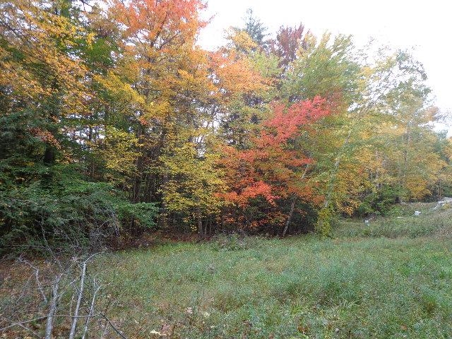 495 Ten Rod Road Farmington, NH 03835 - Photo 6 of 6