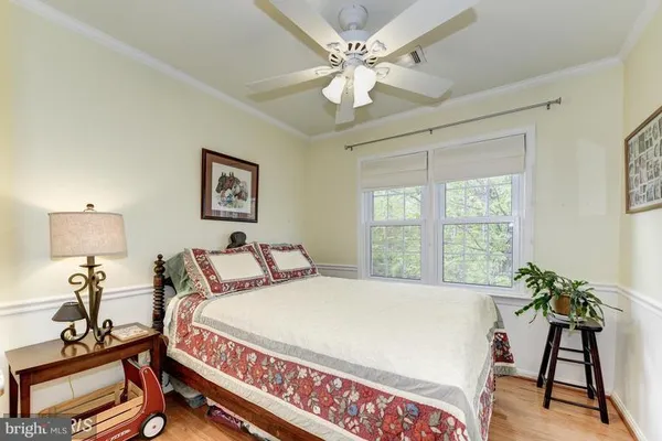 $3,650 | 317 East Nelson Avenue, Alexandria, VA 22301