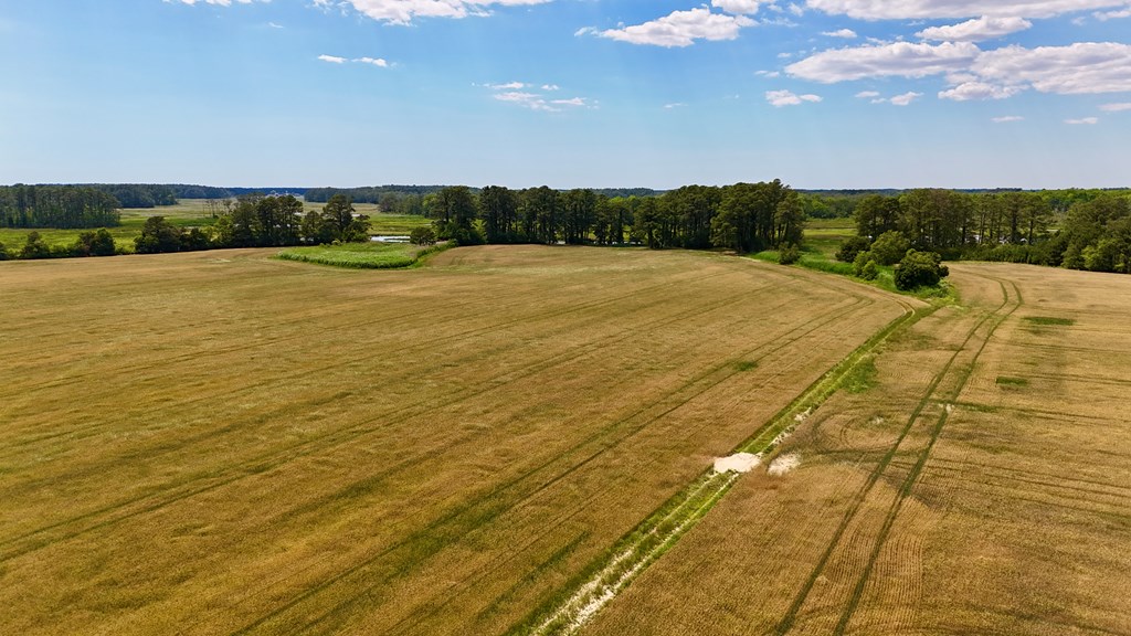 Lot 2 Miles Road, Unit 2A New Church, VA 23415 - Photo 9 of 9