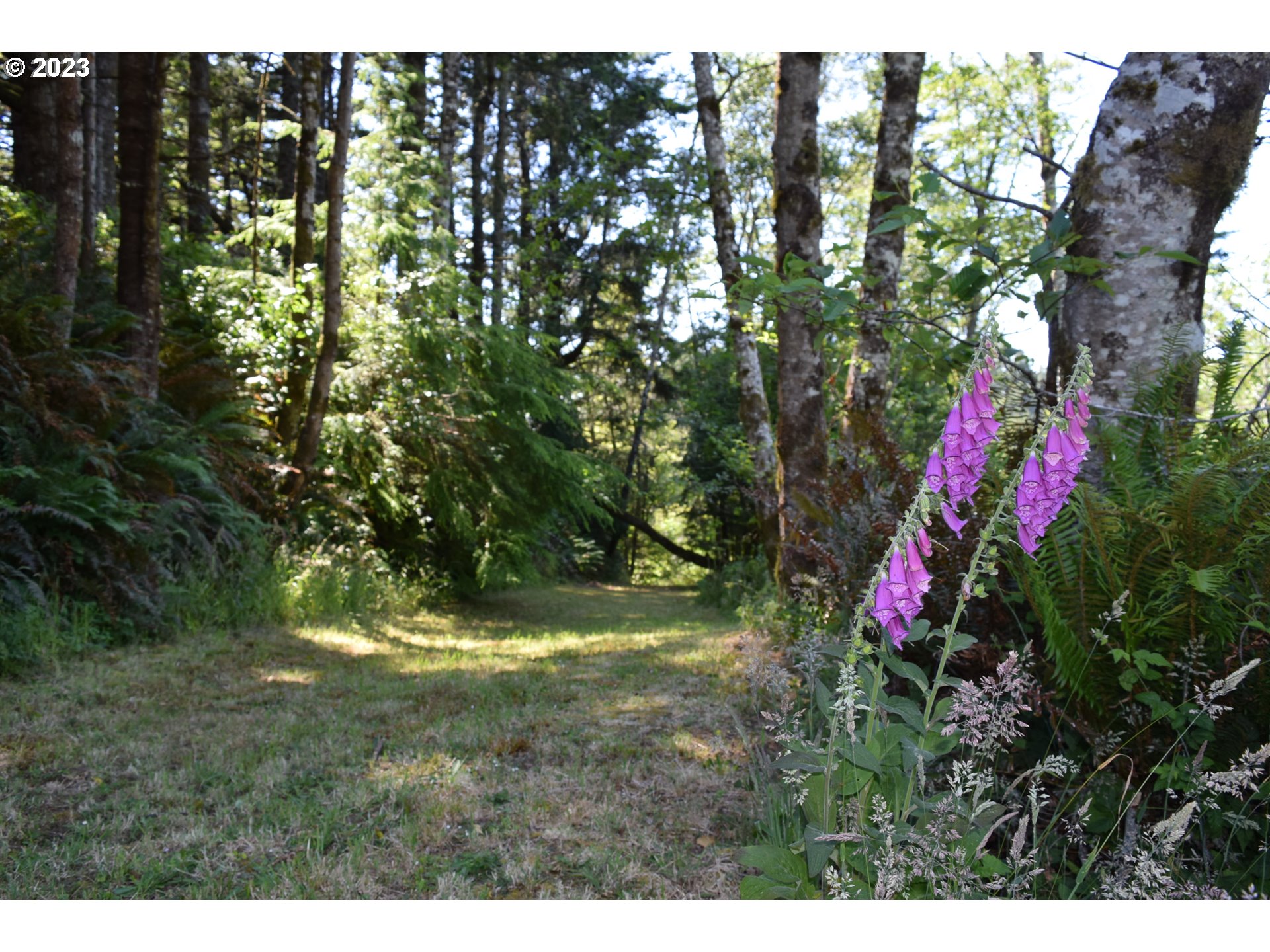 35606 Coy Creek Road Gold Beach, OR 97444 - Photo 46 of 48 a view of outdoor space and yard