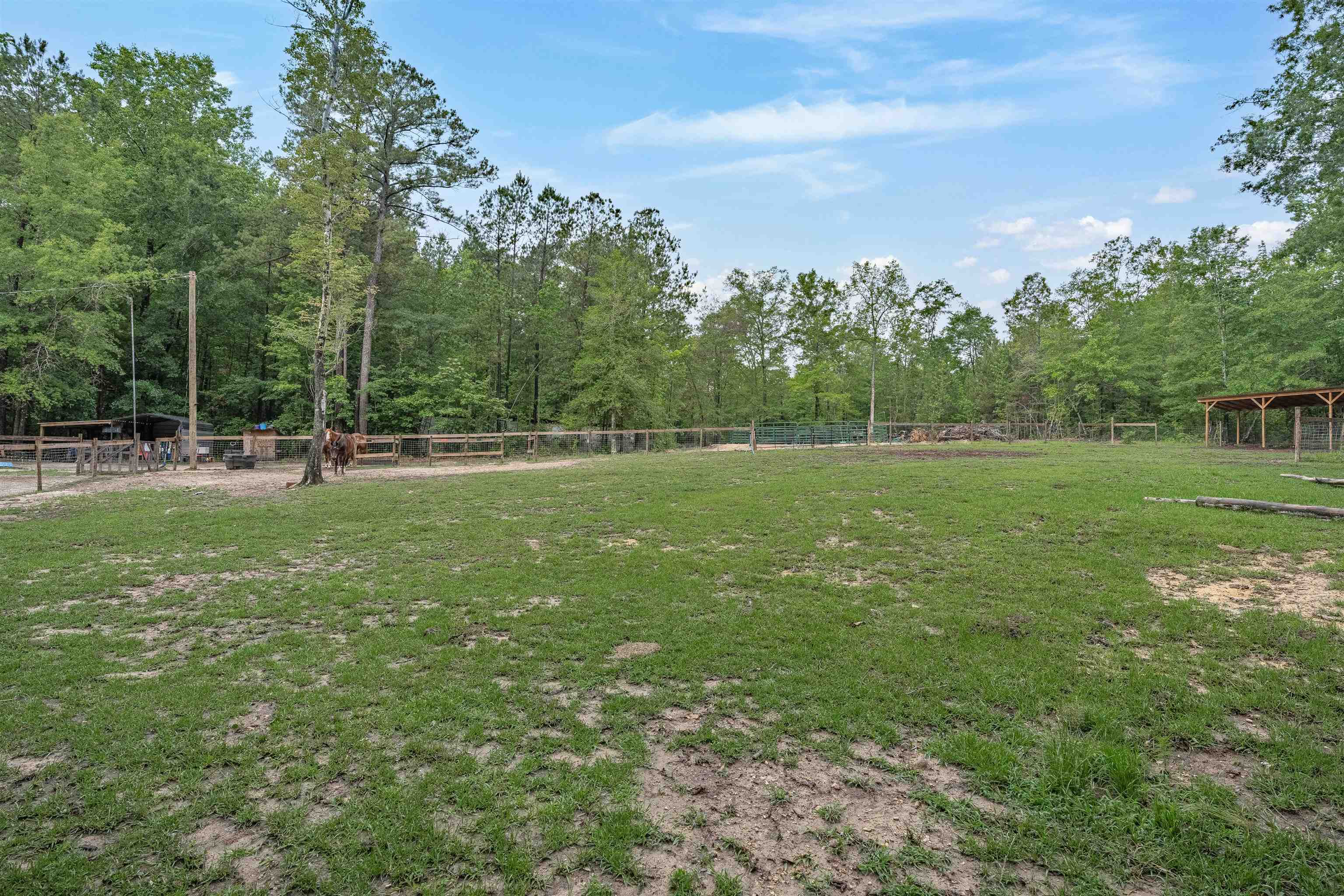 565 Portia Road Blythewood, SC 29016 - Photo 60 of 70