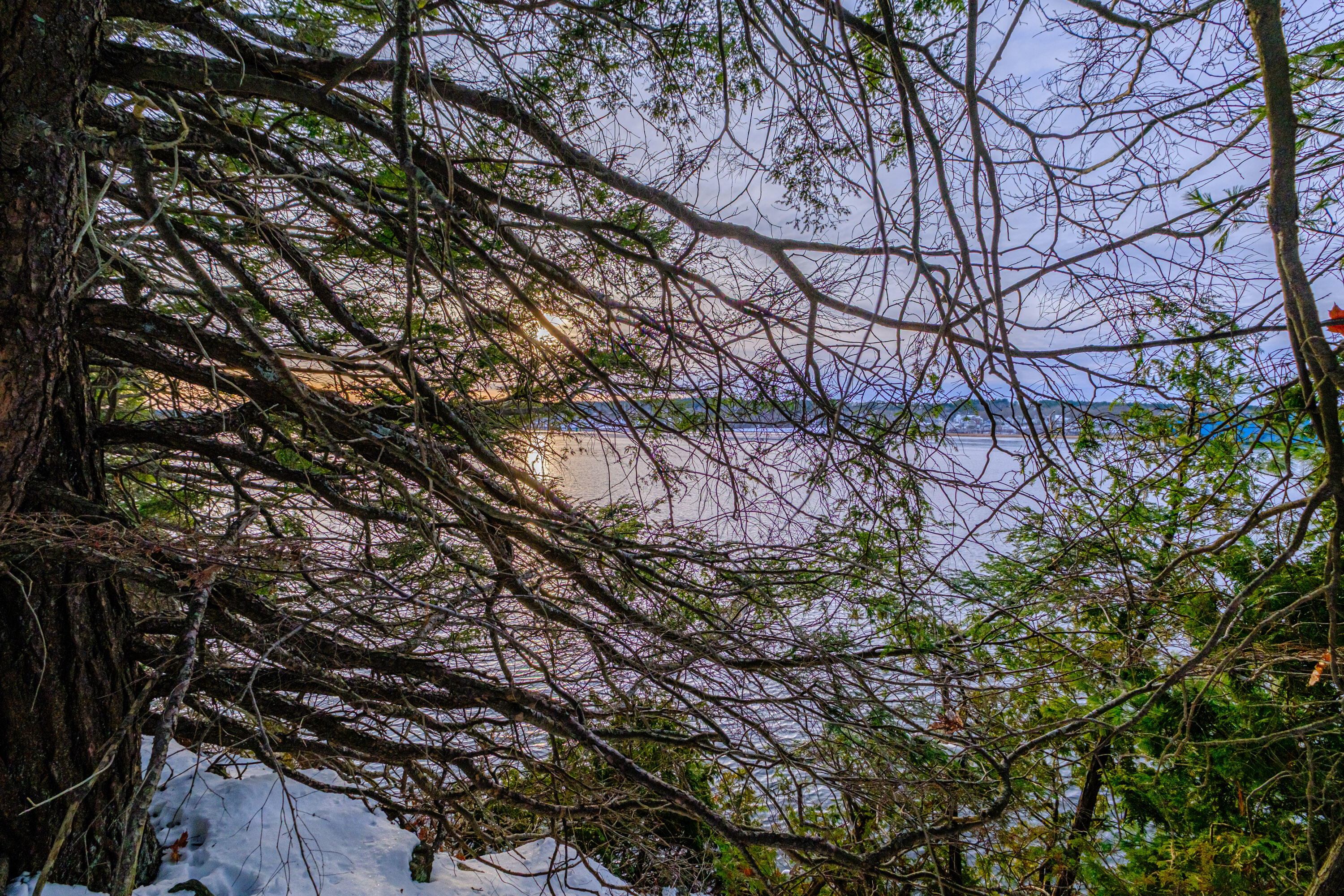 0 Field Road Bath, ME 04530 - Photo 12 of 36 20251209gp-62010