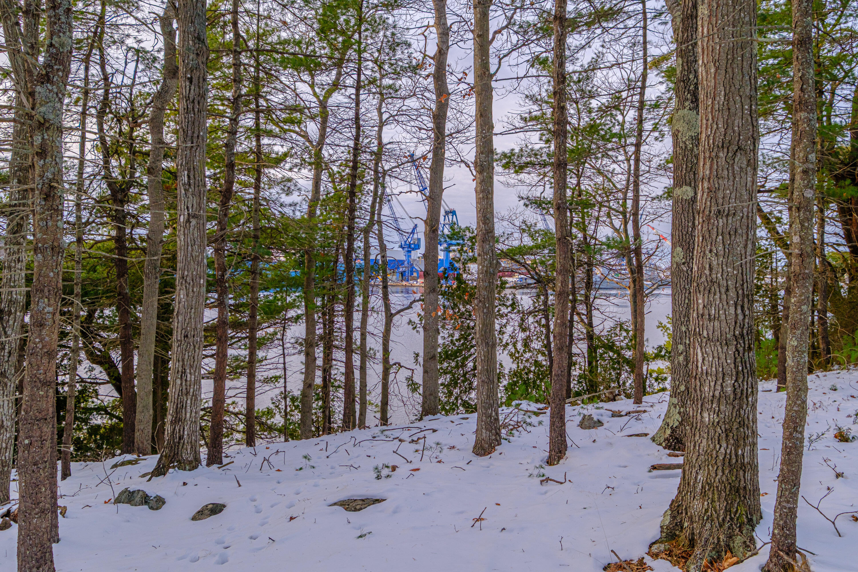 0 Field Road Bath, ME 04530 - Photo 15 of 36 20251209gp-62013