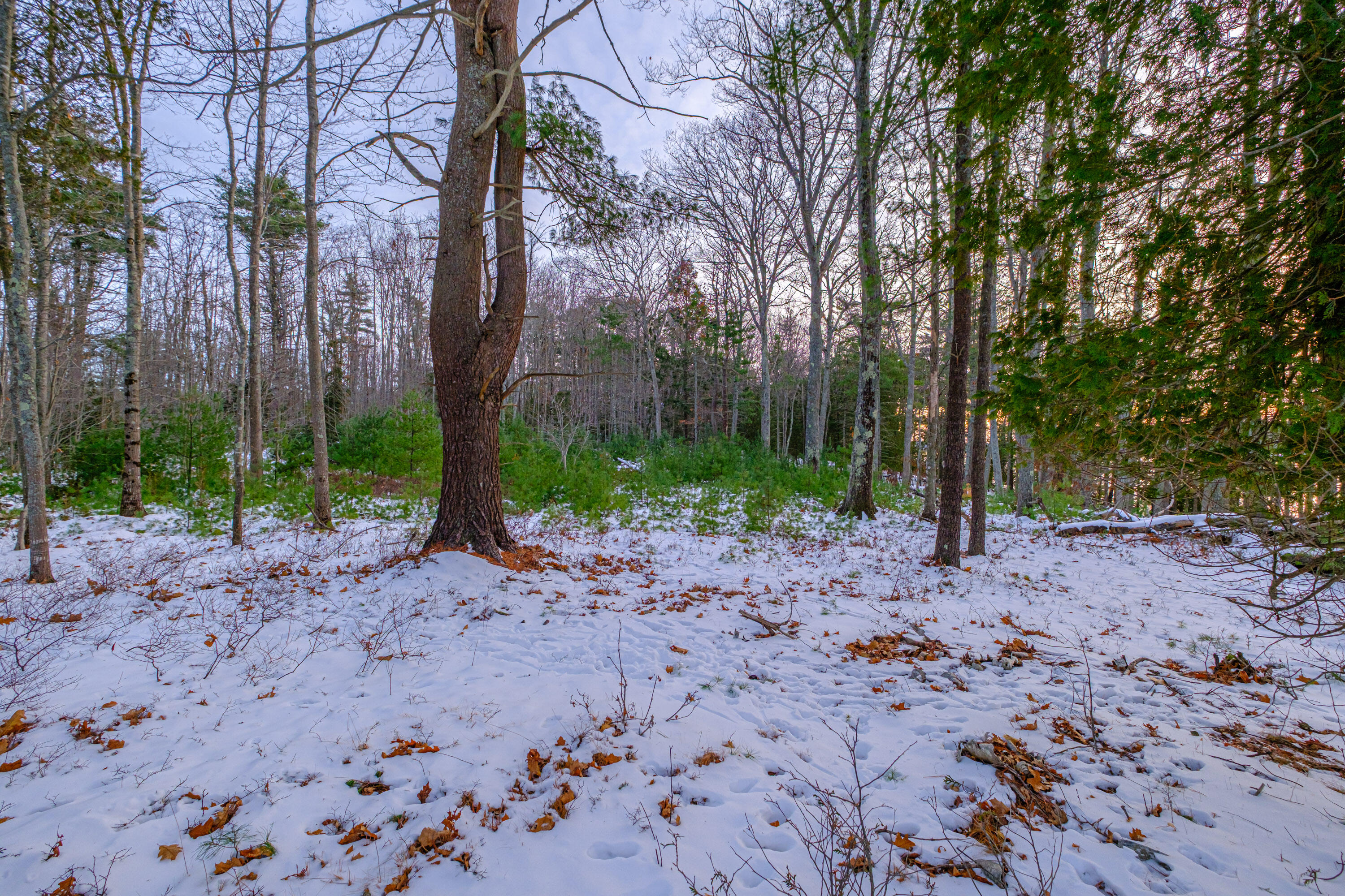 0 Field Road Bath, ME 04530 - Photo 18 of 36 20251209gp-62019