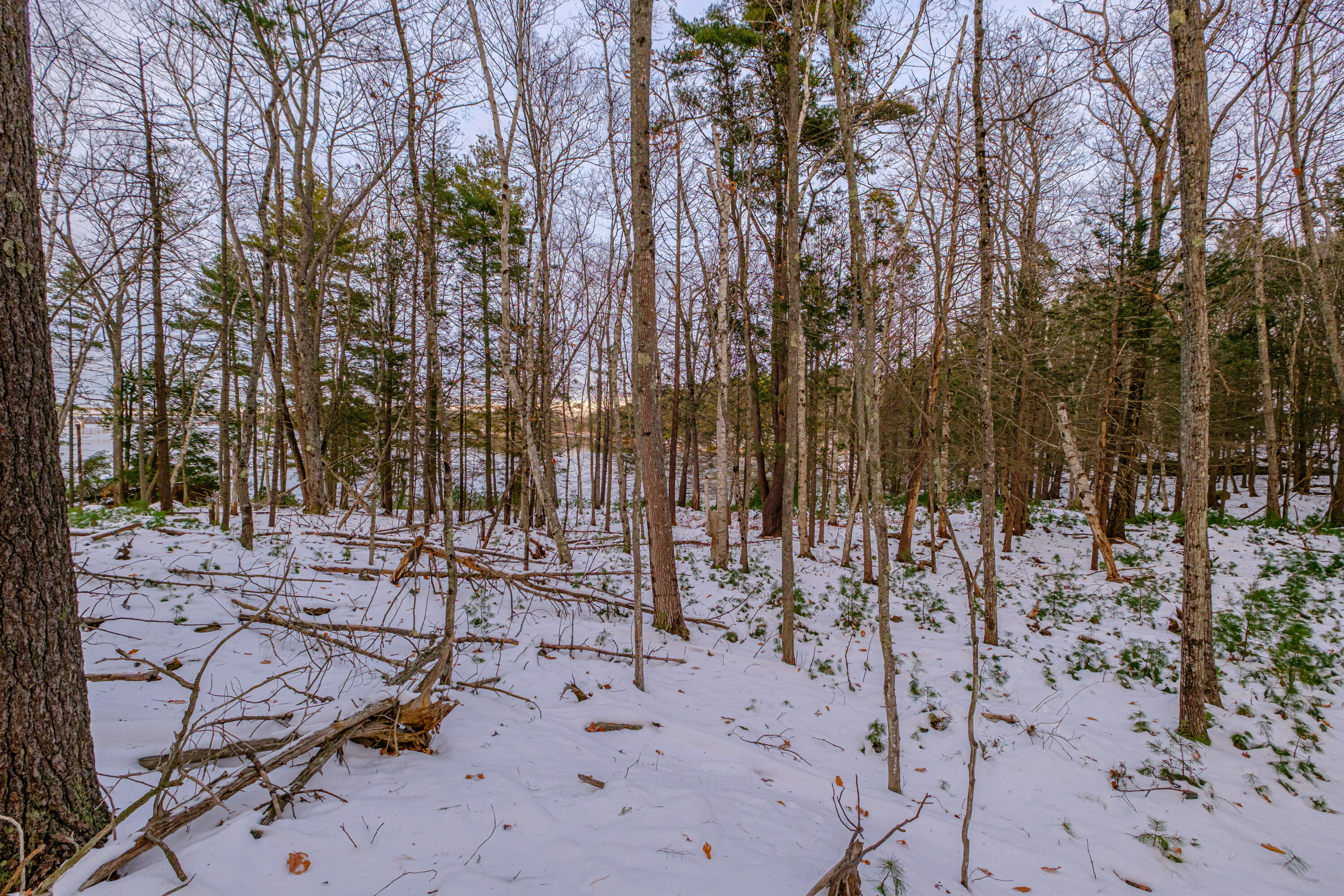 0 Field Road Bath, ME 04530 - Photo 21 of 36 20251209gp-62023