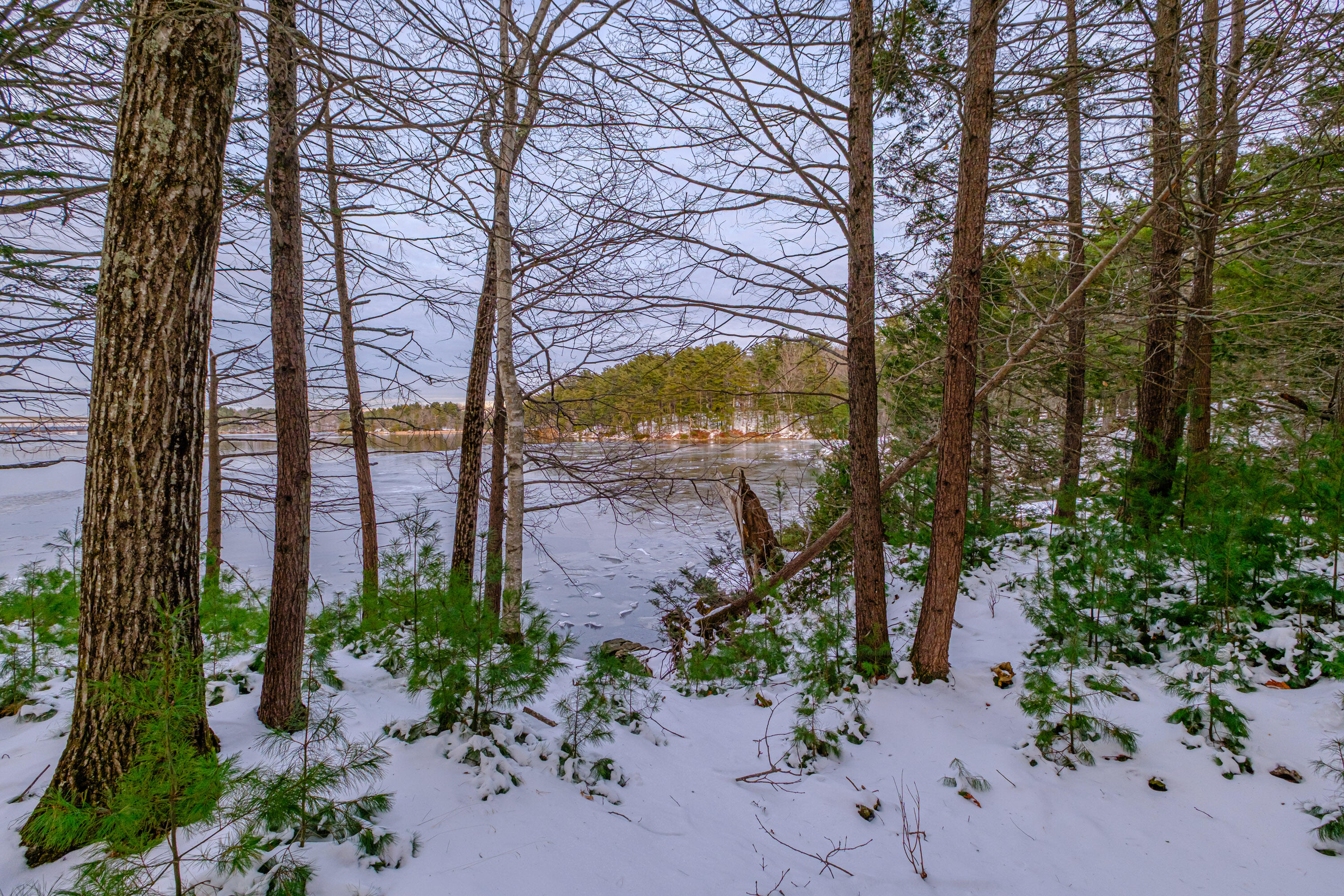 0 Field Road Bath, ME 04530 - Photo 23 of 36 20251209gp-62025