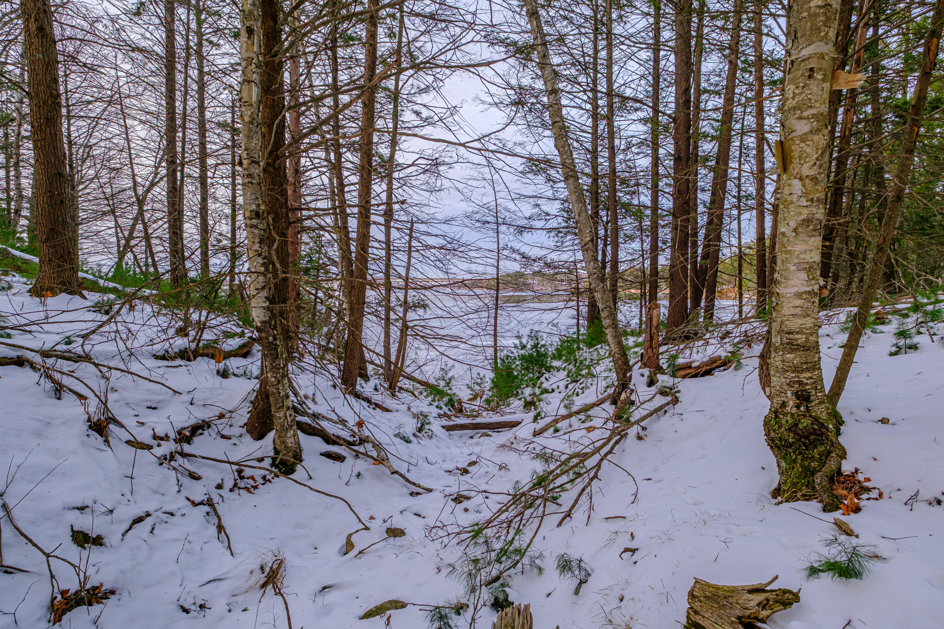 0 Field Road Bath, ME 04530 - Photo 26 of 36 20251209gp-62028