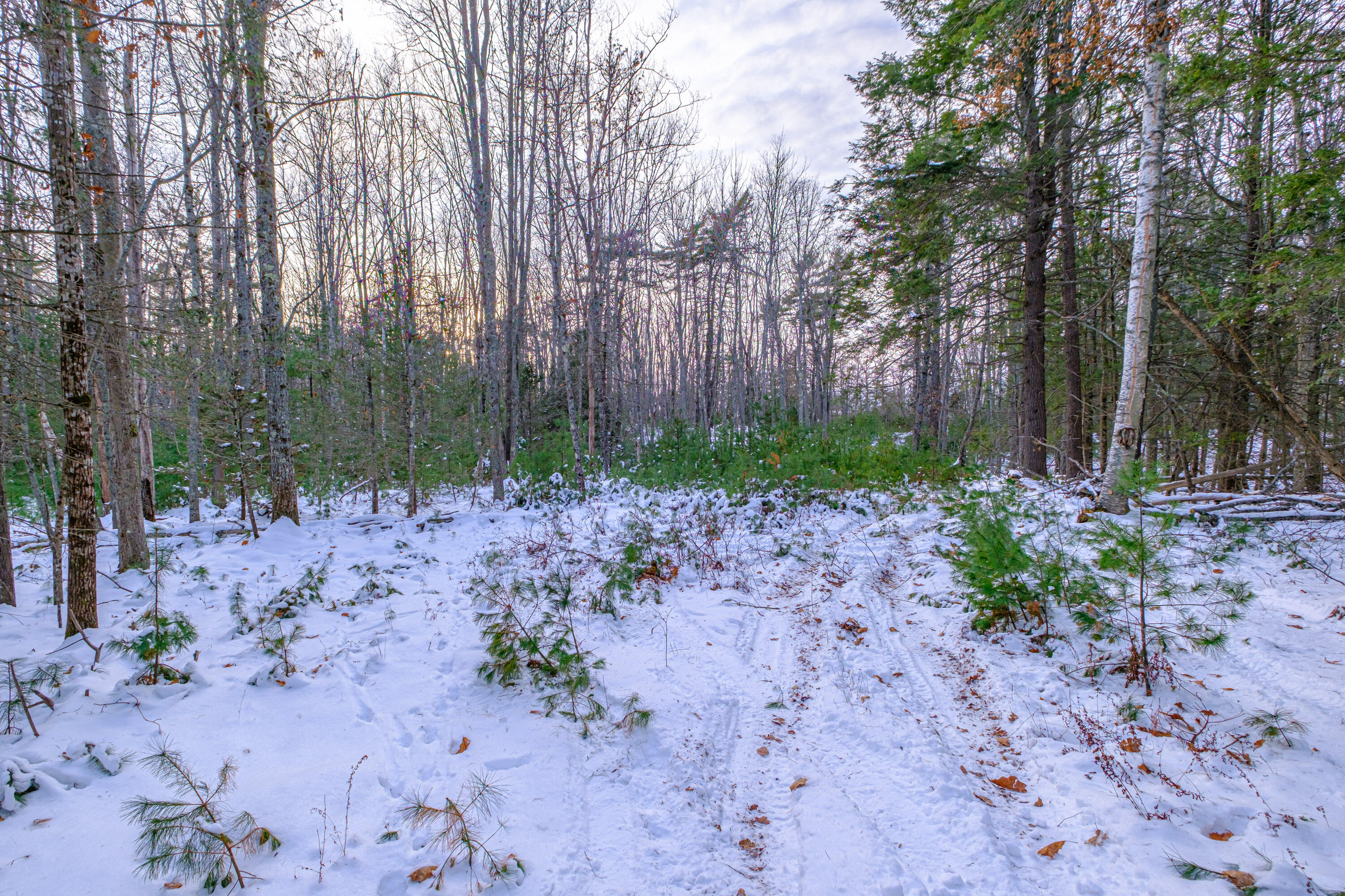 0 Field Road Bath, ME 04530 - Photo 8 of 36 20251209gp-62003