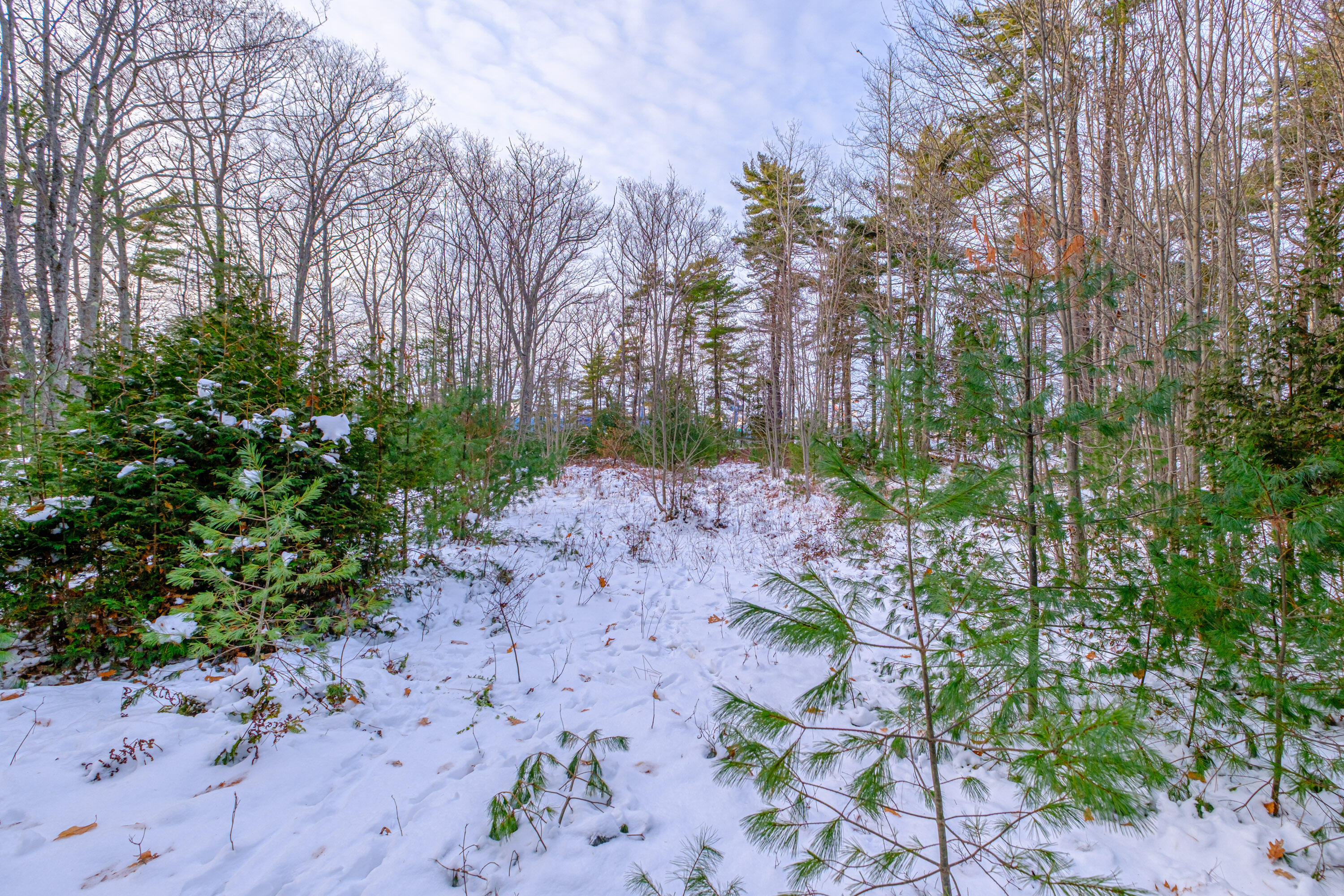 0 Field Road Bath, ME 04530 - Photo 9 of 36 20251209gp-62005
