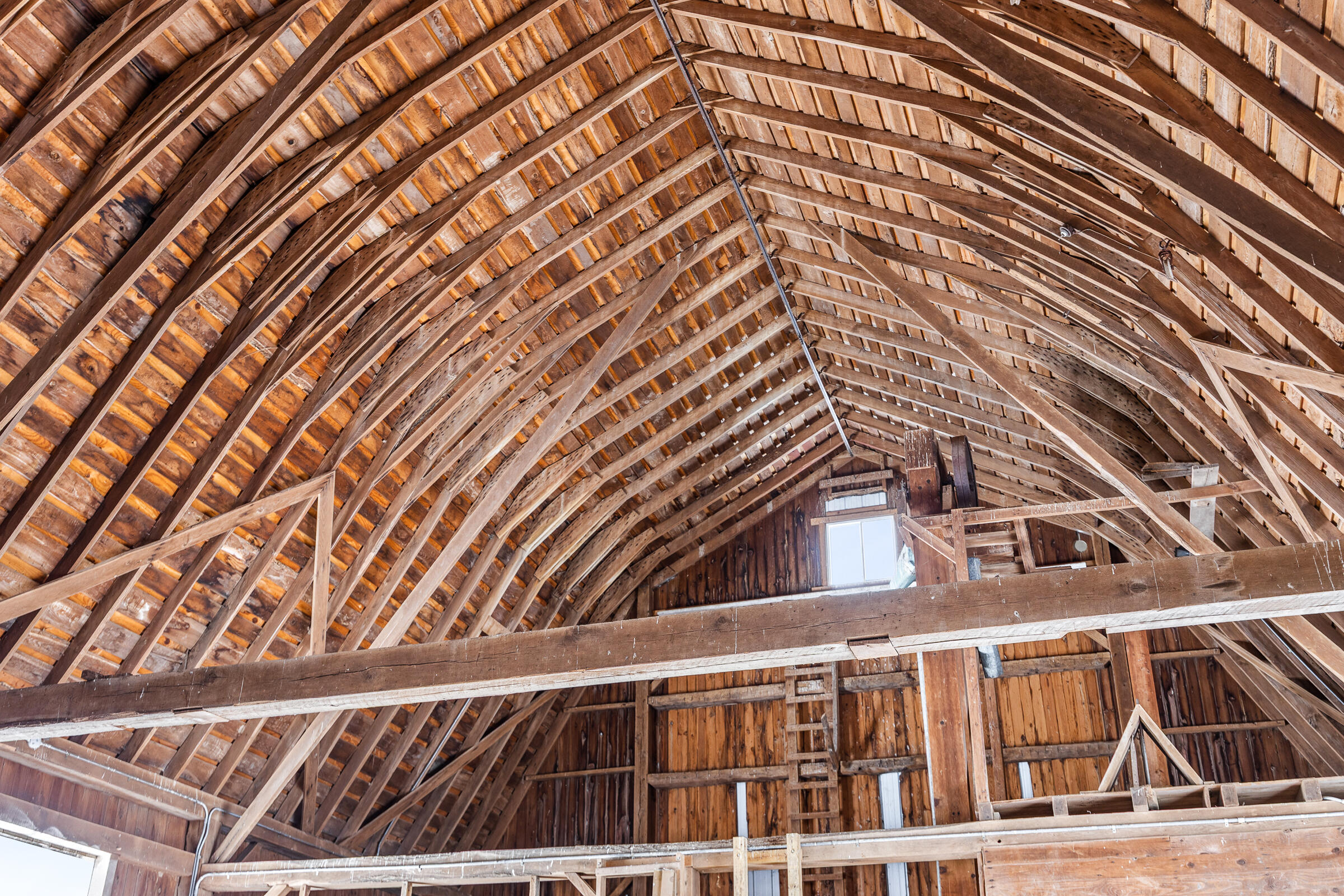 8885 Burmeister Road Saline, MI 48176 - Photo 43 of 86 8885 Burmeister Rd-21