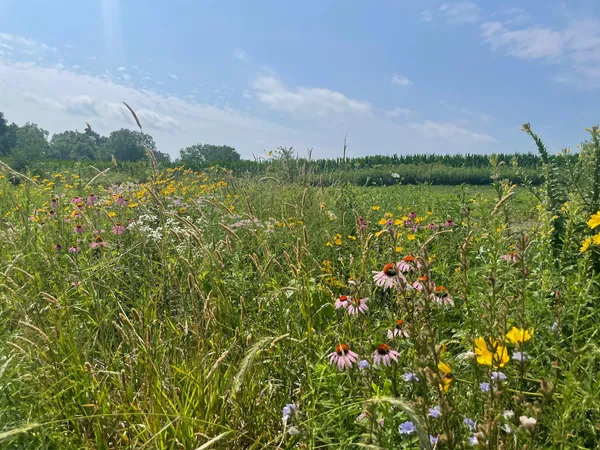 $1,100,000 | 8885 Burmeister Road, Saline, MI 48176