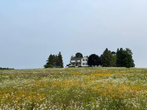 $1,100,000 | 8885 Burmeister Road, Saline, MI 48176