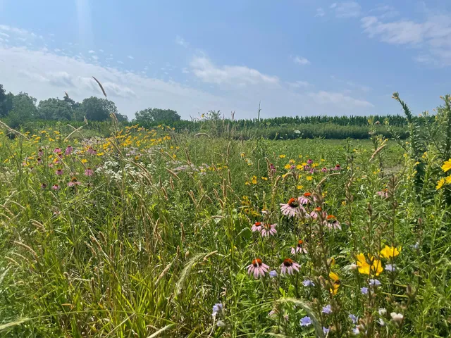 $1,100,000 | 8885 Burmeister Road, Saline, MI 48176