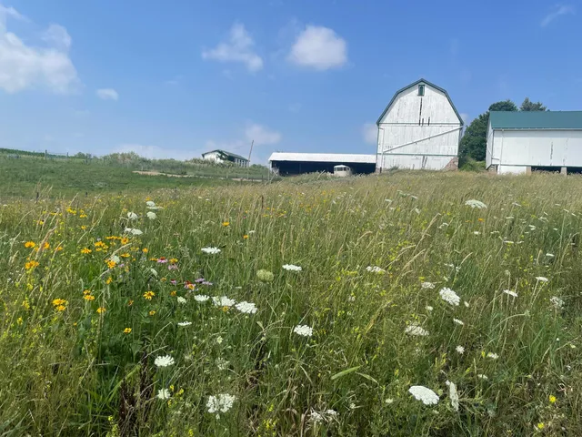 $1,100,000 | 8885 Burmeister Road, Saline, MI 48176