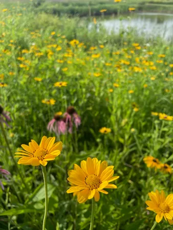 $1,100,000 | 8885 Burmeister Road, Saline, MI 48176