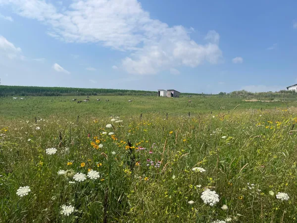 $1,100,000 | 8885 Burmeister Road, Saline, MI 48176