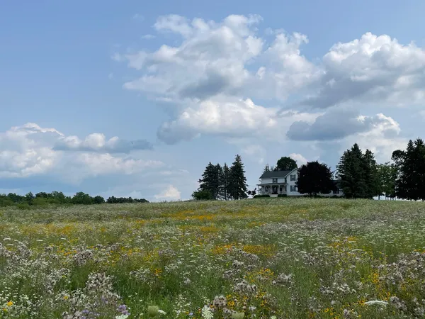 $1,100,000 | 8885 Burmeister Road, Saline, MI 48176