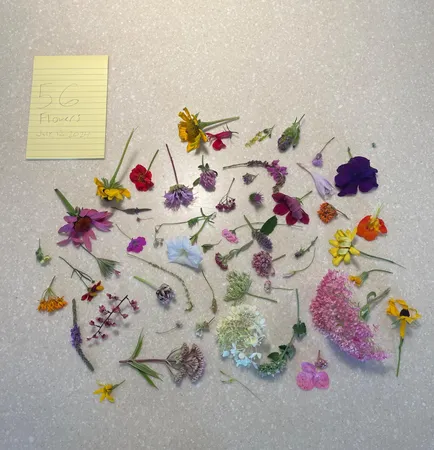 $1,100,000 | 8885 Burmeister Road, Saline, MI 48176