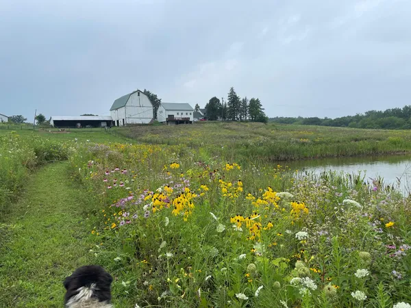 $1,100,000 | 8885 Burmeister Road, Saline, MI 48176