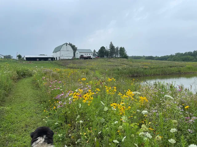 $1,100,000 | 8885 Burmeister Road, Saline, MI 48176