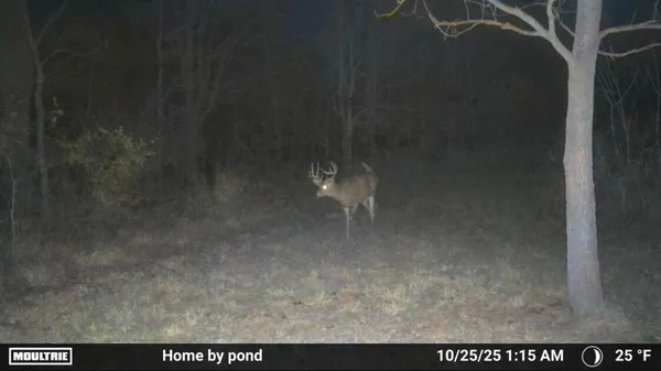 $1,100,000 | 8885 Burmeister Road, Saline, MI 48176