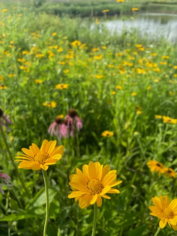 $1,100,000 | 8885 Burmeister Road, Saline, MI 48176