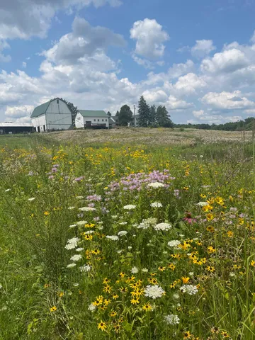 $1,100,000 | 8885 Burmeister Road, Saline, MI 48176