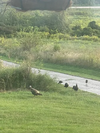 $1,100,000 | 8885 Burmeister Road, Saline, MI 48176